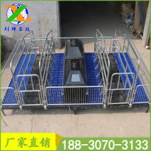 現(xiàn)代養(yǎng)豬設(shè)備 提升效率與動物福利的關(guān)鍵