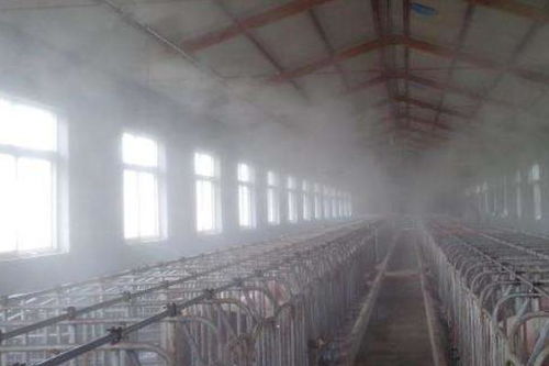 養(yǎng)豬場設(shè)備全解析 從豬圈基礎(chǔ)到現(xiàn)代化養(yǎng)殖系統(tǒng)