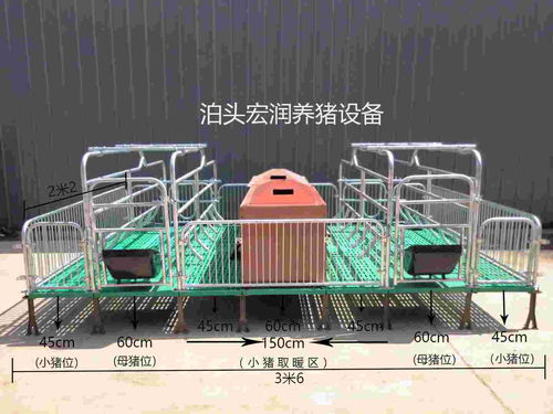 泊頭市宏潤養(yǎng)豬設(shè)備廠 專業(yè)打造高效養(yǎng)豬設(shè)備，助力現(xiàn)代養(yǎng)殖發(fā)展