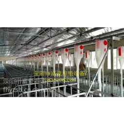 中國養(yǎng)豬設(shè)備供應(yīng)商與價(jià)格分析