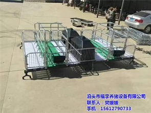 復(fù)合板母豬產(chǎn)床及其在現(xiàn)代化養(yǎng)豬中的應(yīng)用