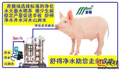 精品綠色環保水處理設備助力養豬場高效機械化養殖
