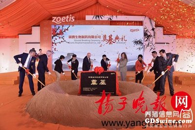 碩騰蘇州新工廠園區(qū)奠基 深化本土布局，賦能中國畜牧業(yè)高質量發(fā)展