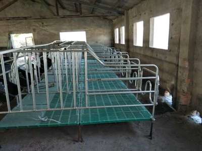 母豬限位欄規(guī)格尺寸詳解 科學設計與應用指南