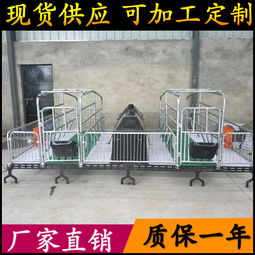 養(yǎng)豬設備升級 從母豬產(chǎn)床到全復合板雙體產(chǎn)床，助力高效養(yǎng)殖