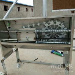 豬場自動(dòng)化料線 養(yǎng)豬設(shè)備升級(jí)，邁向高效精準(zhǔn)飼養(yǎng)新時(shí)代